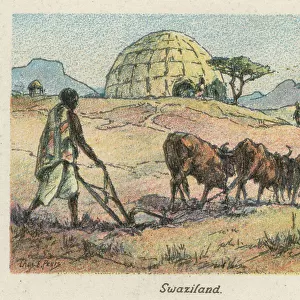 Africa Greetings Card Collection: Swaziland (Eswatini)