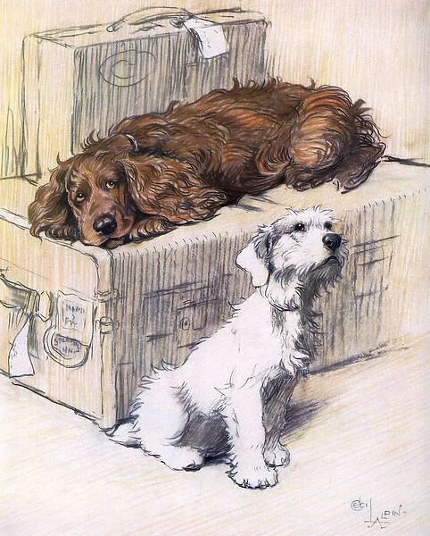 Can t We Come Too? by Cecil Aldin