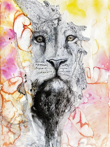 Illustration Of A Lions Face Surrounded By Colourful Abstract Patterns