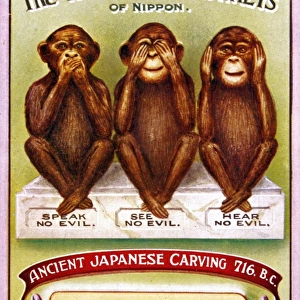 Popular Themes Poster Print Collection: 3 Wise Monkeys