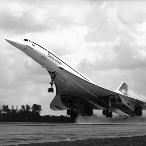 Aeroplanes Collection: Concorde