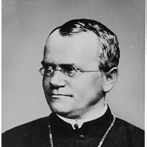 Famous inventors and scientists Metal Print Collection: Gregor Mendel