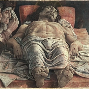 M Canvas Print Collection: Andrea Mantegna
