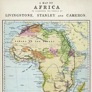 Africa Metal Print Collection: Madagascar