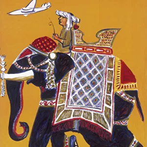 Mammals Metal Print Collection: Asian Elephant