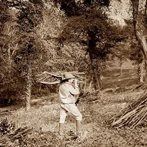 Rural life, Woodman Victorian period