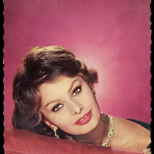 Actors and Actresses Framed Print Collection: Sophia Loren