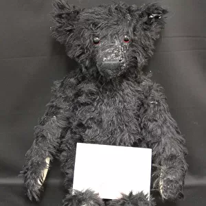 Mammals Tote Bag Collection: Black Bear