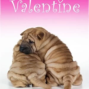 Valentine's Day Mouse Mat Collection: Dog Valentine Prints