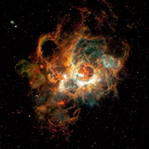 Space Exploration Fine Art Print Collection: Nebulas