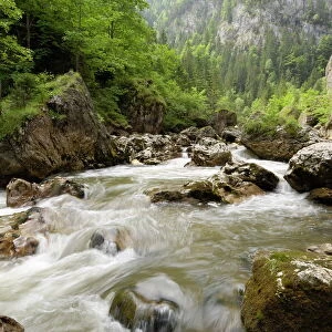 Romania Canvas Print Collection: Rivers