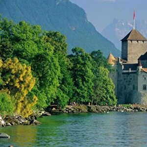 Switzerland Metal Print Collection: Castles