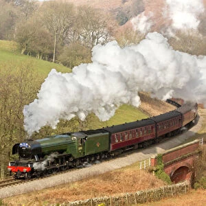 Trains Canvas Print Collection: The Flying Scotsman