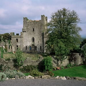 Republic of Ireland Photo Mug Collection: Castles