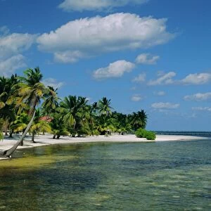 North America Jigsaw Puzzle Collection: Belize