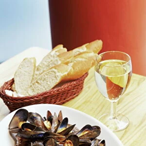 Mollusks Metal Print Collection: Mussels