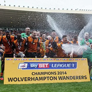 Sky Bet League One Photo Mug Collection: Sky Bet League One : Wolves v Carlisle United : Molineux : 03-04-2014