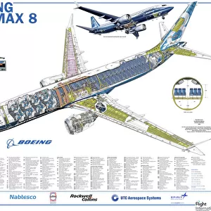 Aeroplanes Fine Art Print Collection: Boeing 737