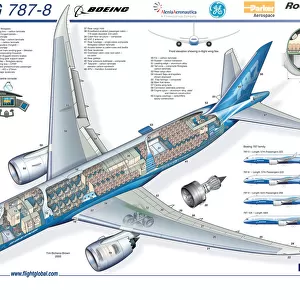 Aeroplanes Fine Art Print Collection: Boeing 787