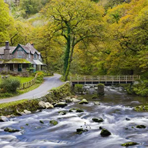 Scenic landscapes Jigsaw Puzzle Collection: Countryside artwork