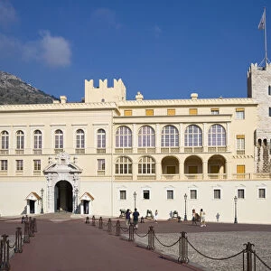 Monaco Tote Bag Collection: Politics