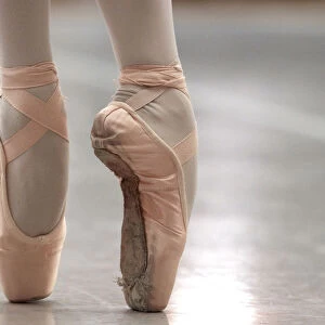 Switzerland Cushion Collection: Ballet
