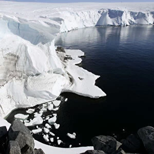 Reuters Cushion Collection: Antarctic