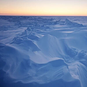 Reuters Jigsaw Puzzle Collection: Arctic