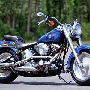 Popular Themes Metal Print Collection: Harley-Davidson