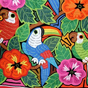 Birds Canvas Print Collection: Piciformes