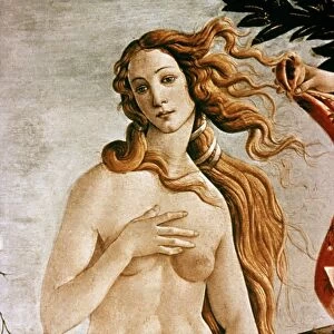 Renaissance art Canvas Print Collection: Famous works of Botticelli