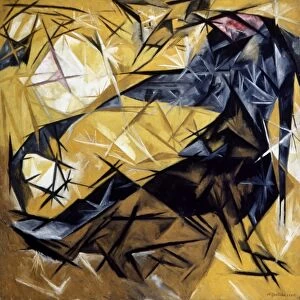 Oil paintings Photographic Print Collection: Cubist paintings