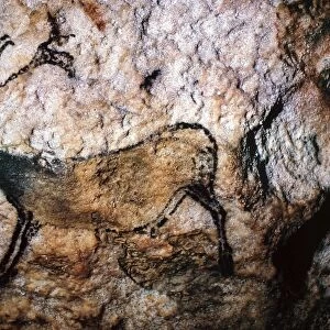 Popular Themes Greetings Card Collection: Cave Paintings