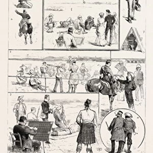 All Images Metal Print Collection: 1884