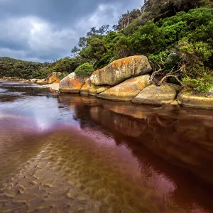 Victoria (VIC) Fine Art Print Collection: Wilsons Promontory National Park