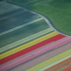 Netherlands Fine Art Print Collection: Aerial Views