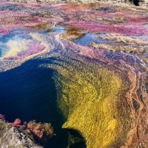 Ultimate Earth Prints Photo Mug Collection: Caño Cristales River, Sierra de la Macarena National Park
