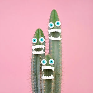 Photographers Metal Print Collection:  Juj Winn's Bright, colourful, quirky creative collection