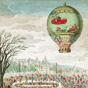 Visual Treasures Metal Print Collection: Montgolfier Balloon