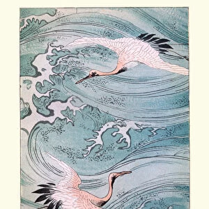 Storks Metal Print Collection: Oriental Stork