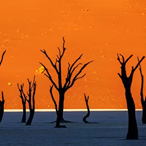 Ultimate Earth Prints Photographic Print Collection: Amazing Deserts