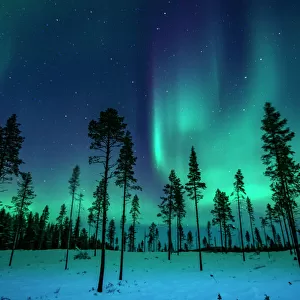 Global Landscape Views Metal Print Collection: Northern Lights: A Dance of Colours