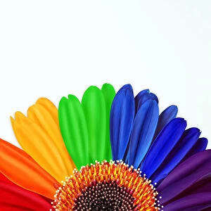 Visual Treasures Greetings Card Collection: Rainbow Colours