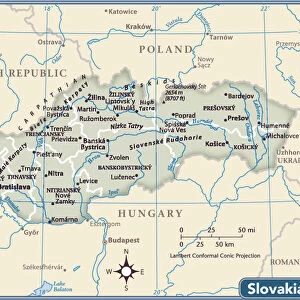 Slovakia Metal Print Collection: Maps