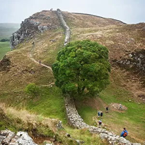 Sycamore Gap, Hadrian's Wall, Northumberland, England