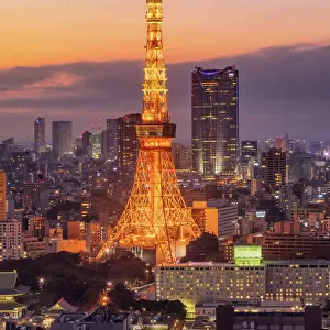 Towers Canvas Print Collection: Tokyo Tower