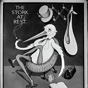 Storks Framed Print Collection: Black Stork