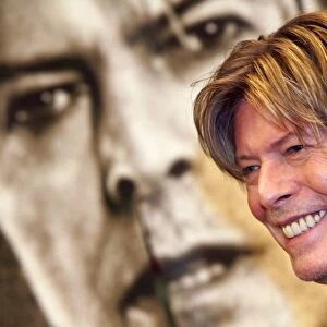 Music Jigsaw Puzzle Collection: David Bowie