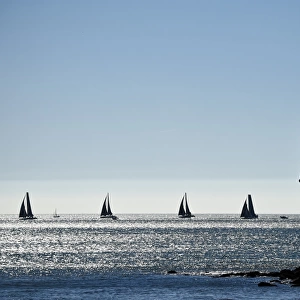Transport Fine Art Print Collection: Sailing - Ships - Maritime - Boats