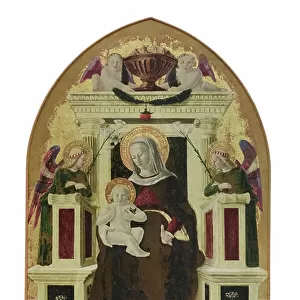 Artists Collection: Giovanni Angelo d'Antonio da Bolognola